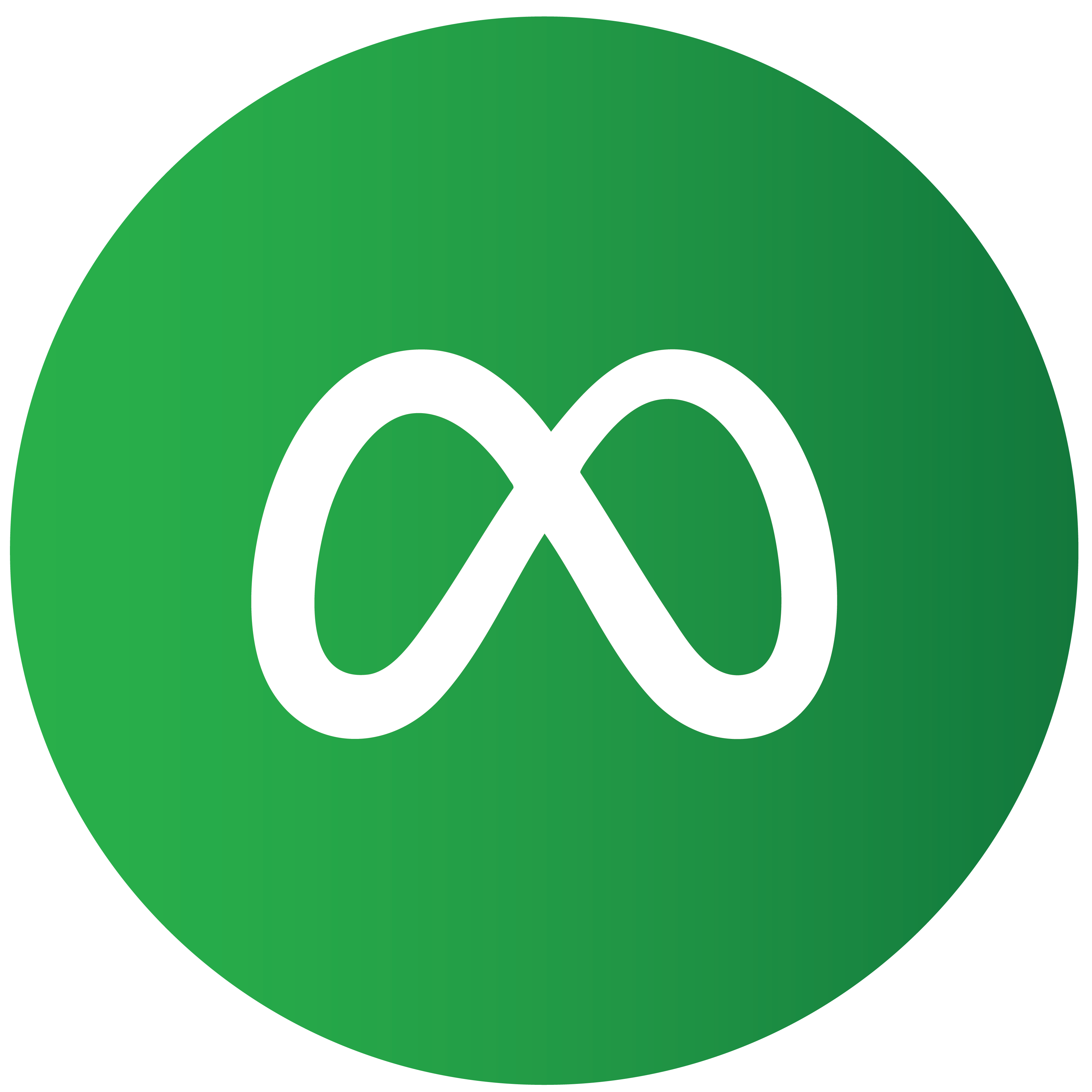 Meta Ads & Google Business